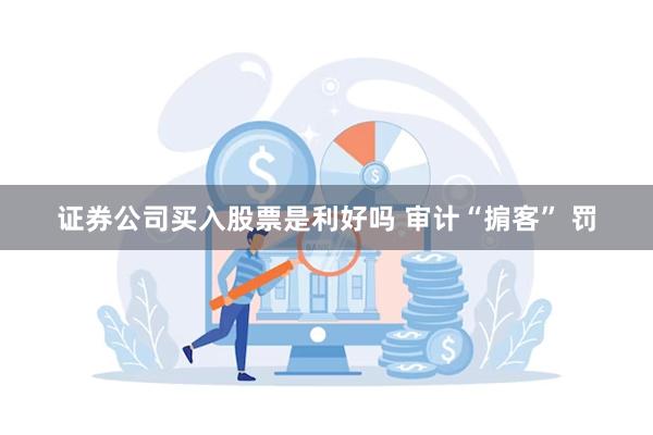 证券公司买入股票是利好吗 审计“掮客” 罚