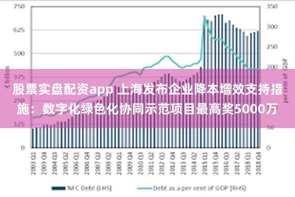 股票实盘配资app 上海发布企业降本增效支持措施：数字化绿色化协同示范项目最高奖5000万