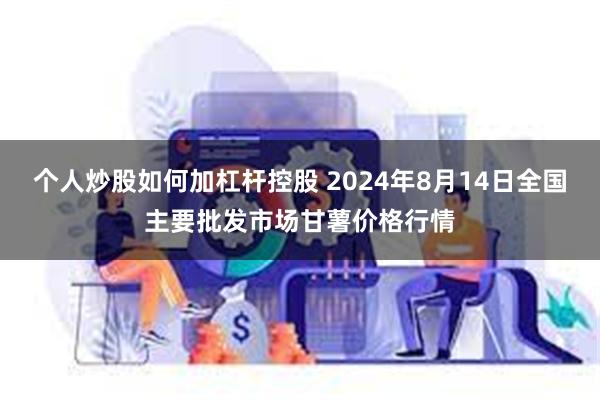 个人炒股如何加杠杆控股 2024年8月14日全国主要批发市场甘薯价格行情