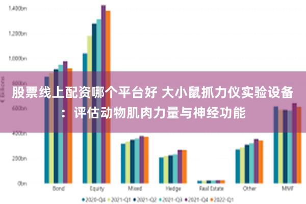 股票线上配资哪个平台好 大小鼠抓力仪实验设备：评估动物肌肉力量与神经功能