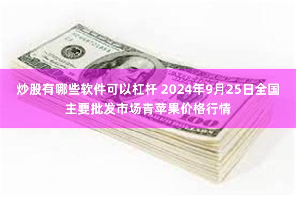 炒股有哪些软件可以杠杆 2024年9月25日全国主要批发市场青苹果价格行情