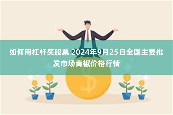 如何用杠杆买股票 2024年9月25日全国主要批发市场青椒价格行情