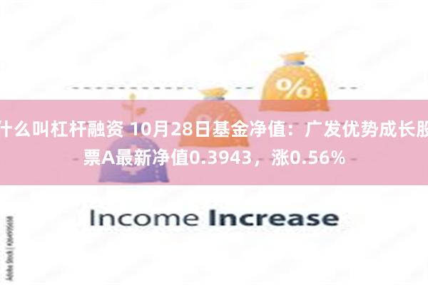 什么叫杠杆融资 10月28日基金净值：广发优势成长股票A最新净值0.3943，涨0.56%