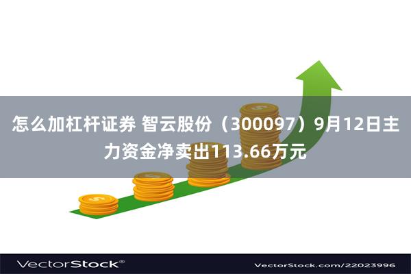 怎么加杠杆证券 智云股份（300097）9月12日主力资金净卖出113.66万元