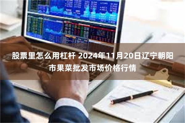 股票里怎么用杠杆 2024年11月20日辽宁朝阳市果菜批发市场价格行情