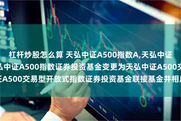 杠杆炒股怎么算 天弘中证A500指数A,天弘中证A500指数C: 关于天弘中证A500指数证券投资基金变更为天弘中证A500交易型开放式指数证券投资基金联接基金并相应修订基金合同的公告