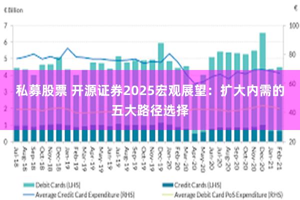 私募股票 开源证券2025宏观展望：扩大内需的五大路径选择