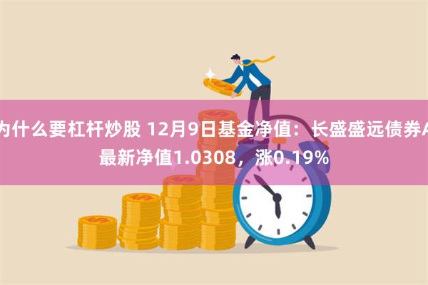 为什么要杠杆炒股 12月9日基金净值：长盛盛远债券A最新净值1.0308，涨0.19%